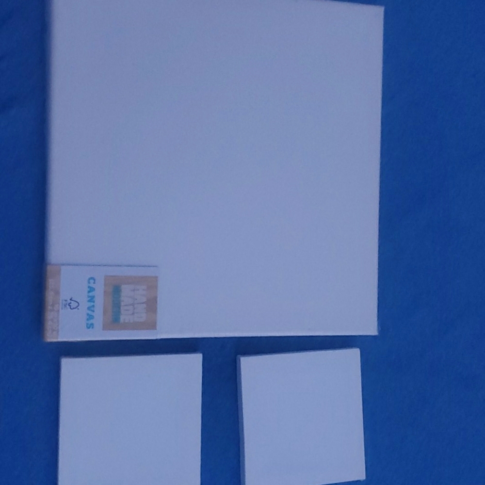 3 Canvases